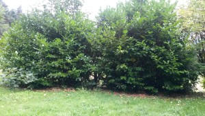 20150915_143935